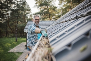gutter cleaning