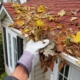 gutter with leaves