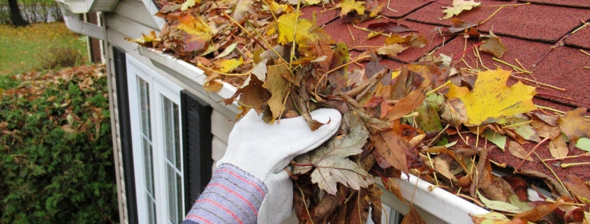 gutter with leaves