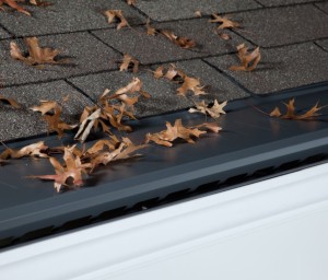 Gutter Protection Indianola IA