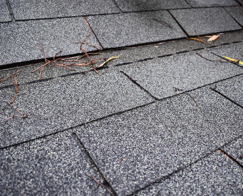 how long do asphalt shingles last