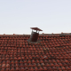 roof is leaking what to do