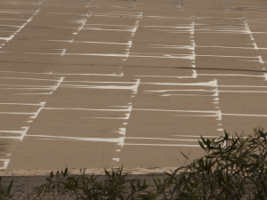 standing water on flat roof