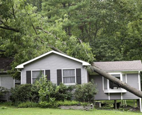 Illustration of various types of storm damage on a roof