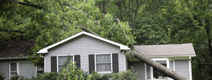 Illustration of various types of storm damage on a roof