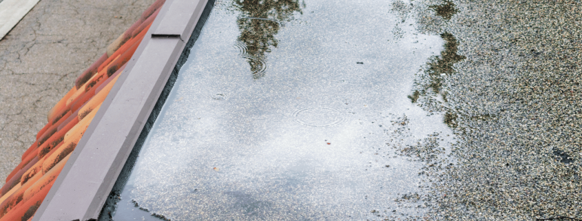 Illustration depicting the concerns of ponding water on flat roofs. 1