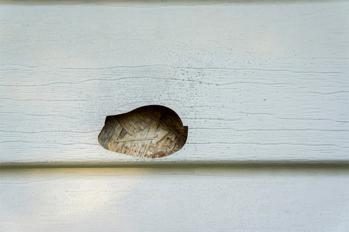 Waddle siding damage