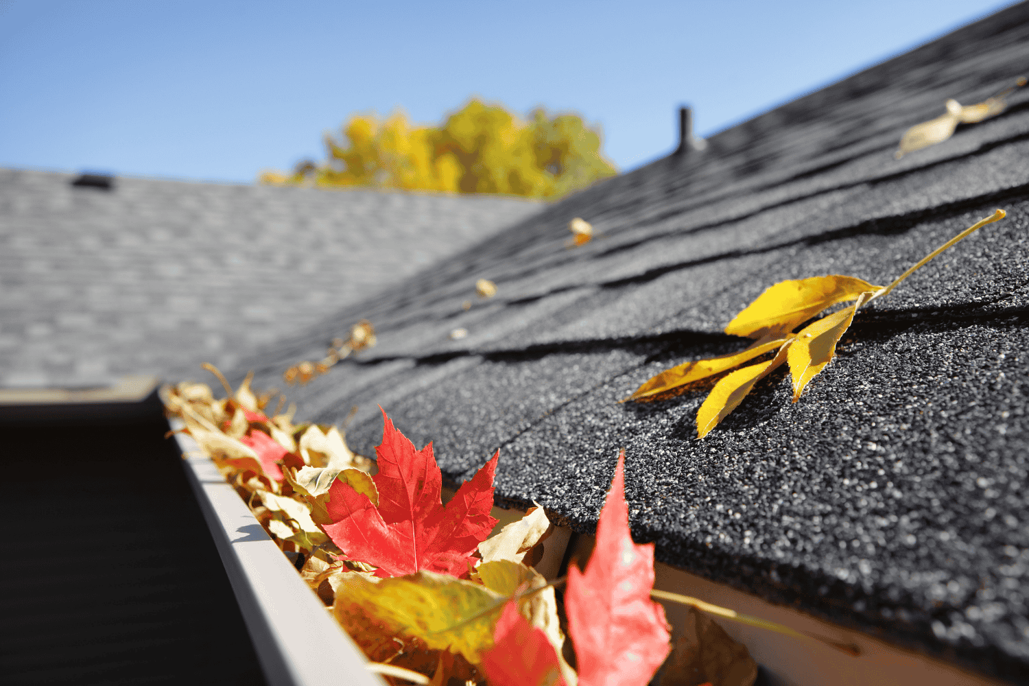 Factors influencing roof load calculations.