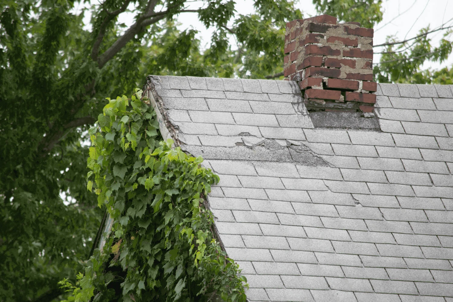 An image depicting the extent of roof damage due to weather, with missing shingles and debris.