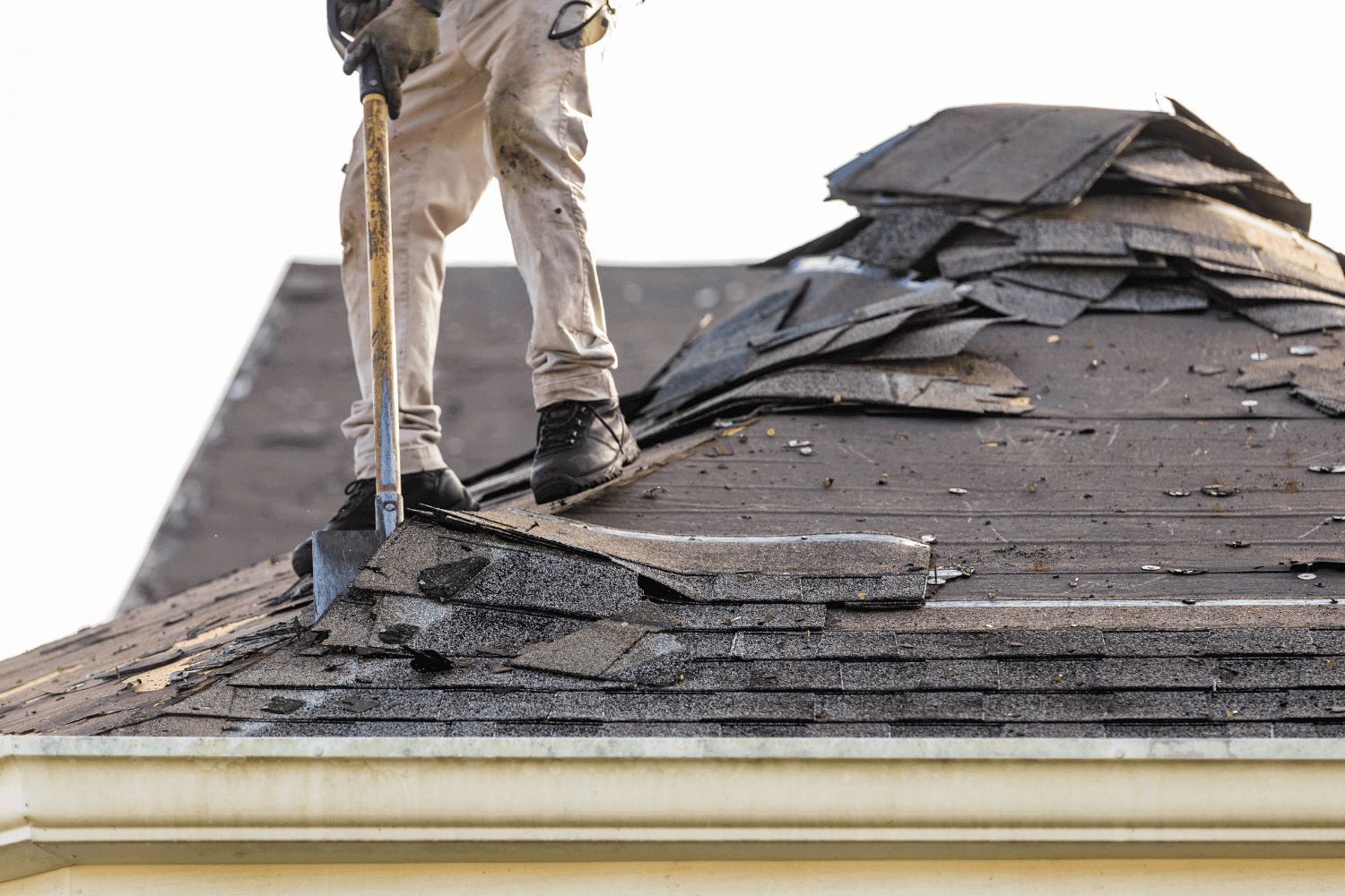 Additional costs to consider when replacing an asphalt roof, including shingle removal and disposal.