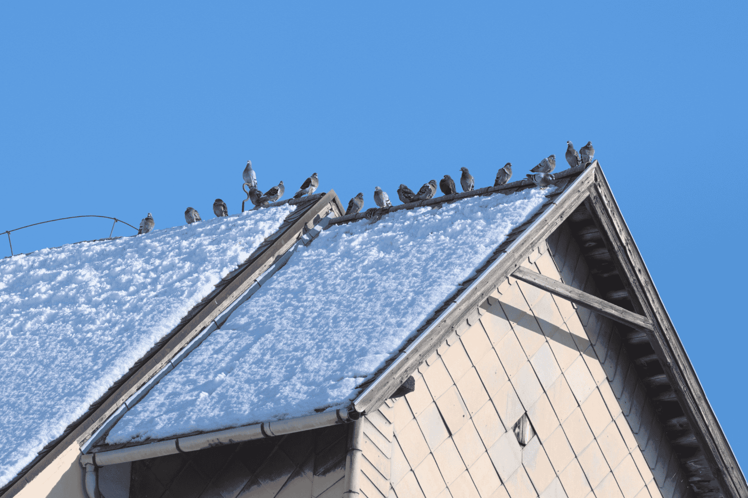 A roofer replacing a roof in winter, demonstrating the benefits of winter roof replacement. A roofer replacing a roof in winter, demonstrating the benefits of winter roof replacement.