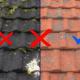 Preventive measures to keep your roof moss-free, including regular maintenance.